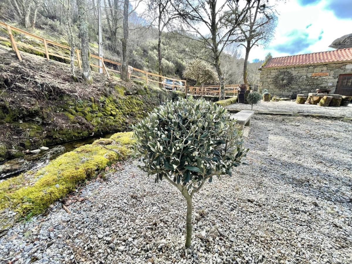 Moinho De Briao Villa Montalegre Buitenkant foto